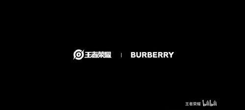 巴宝莉联名皮肤最新爆料,时尚与科技的完美融合  第2张